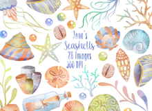 Seashell Graphics Set