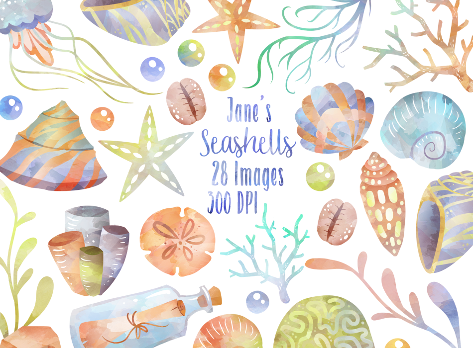 Seashell Graphics Set