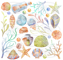 Seashell Graphics Set